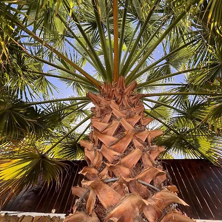 Casa Senna * Corralejo