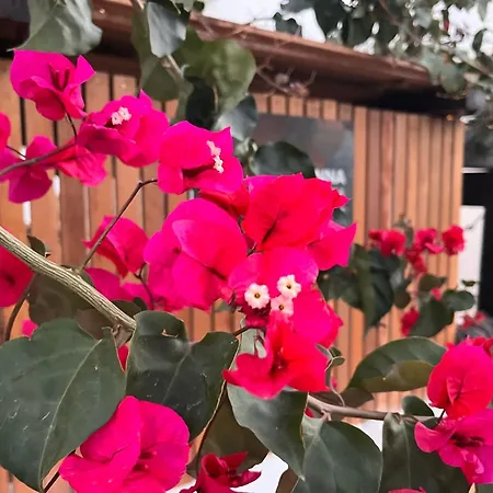 Casa Senna Daire Corralejo